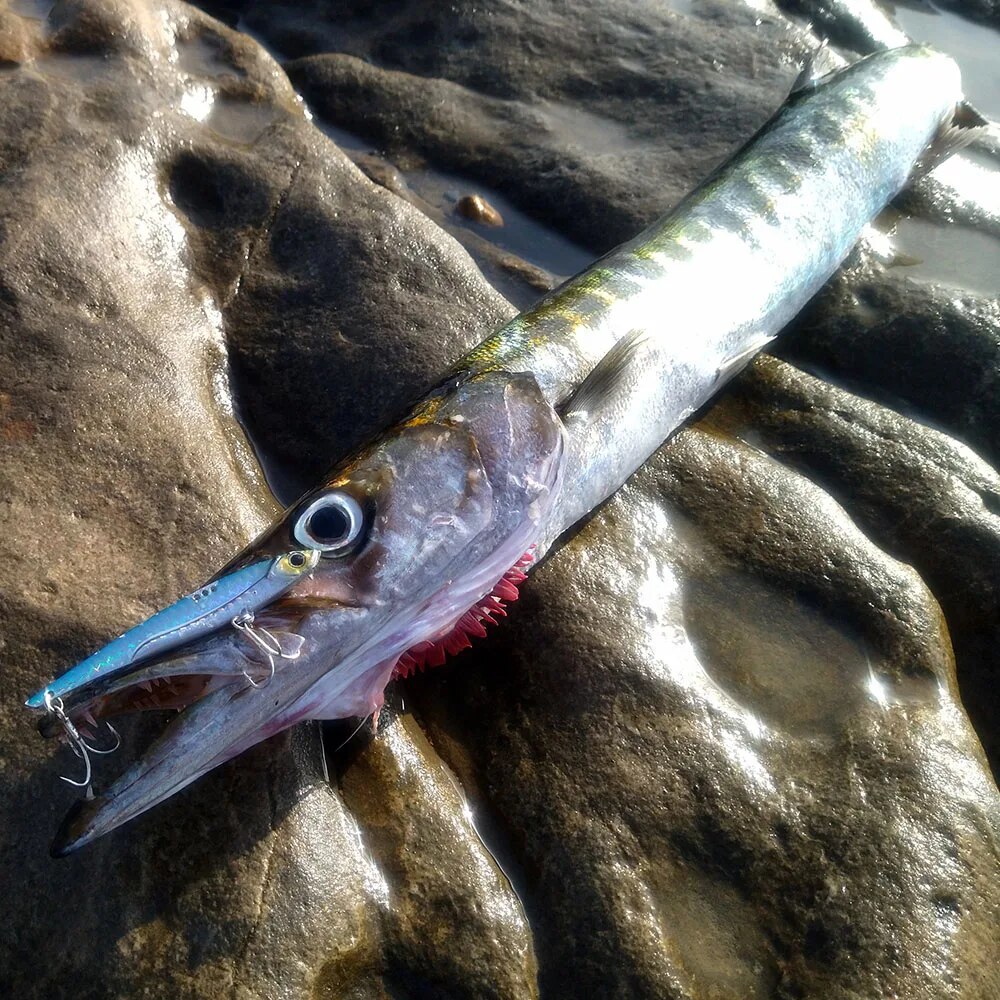 GOBAIT VIB Fishing Lure 20g 25 - Fishing Hook Treble 评论和价格